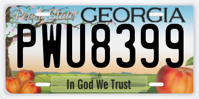 GA license plate PWU8399