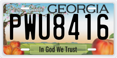 GA license plate PWU8416