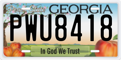 GA license plate PWU8418