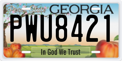 GA license plate PWU8421