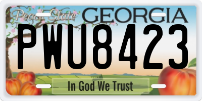 GA license plate PWU8423