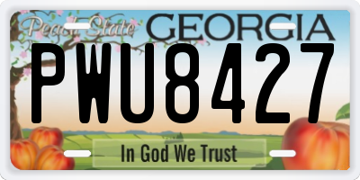 GA license plate PWU8427