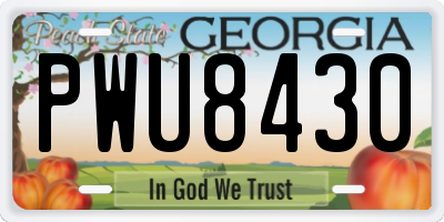 GA license plate PWU8430