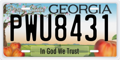 GA license plate PWU8431
