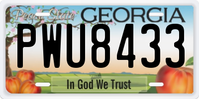 GA license plate PWU8433