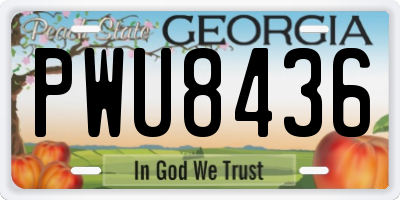 GA license plate PWU8436