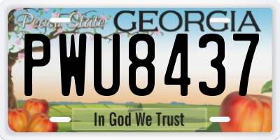 GA license plate PWU8437