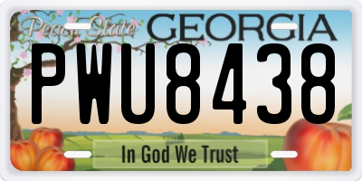 GA license plate PWU8438