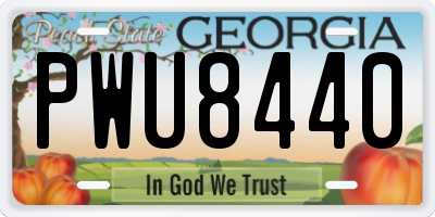 GA license plate PWU8440