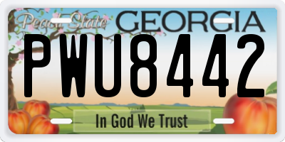 GA license plate PWU8442