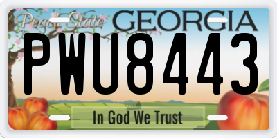 GA license plate PWU8443