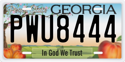 GA license plate PWU8444