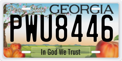 GA license plate PWU8446
