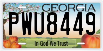 GA license plate PWU8449