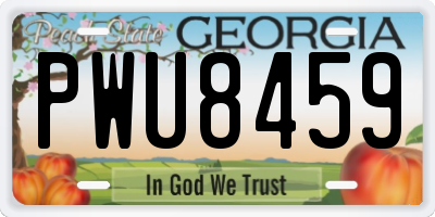 GA license plate PWU8459