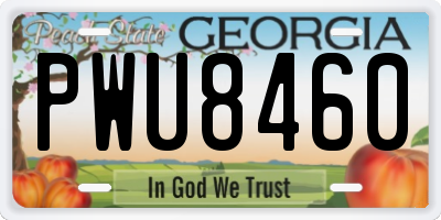 GA license plate PWU8460