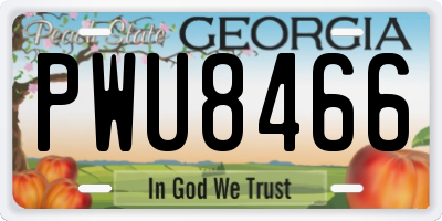 GA license plate PWU8466