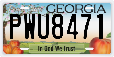 GA license plate PWU8471