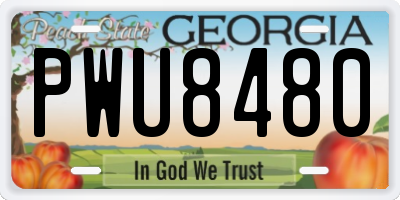 GA license plate PWU8480