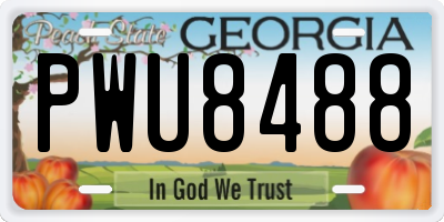 GA license plate PWU8488