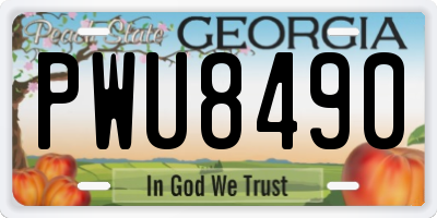 GA license plate PWU8490