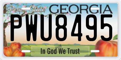 GA license plate PWU8495