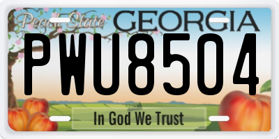 GA license plate PWU8504