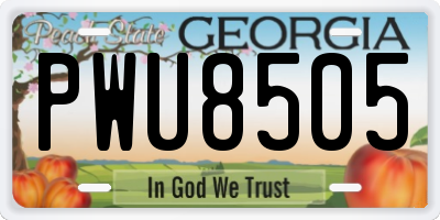GA license plate PWU8505