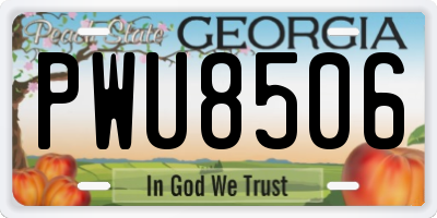 GA license plate PWU8506