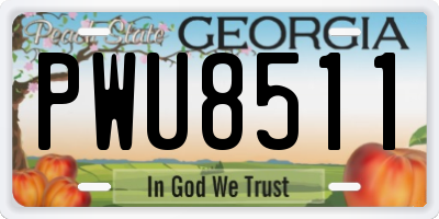 GA license plate PWU8511