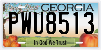 GA license plate PWU8513