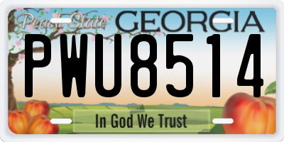 GA license plate PWU8514