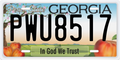 GA license plate PWU8517
