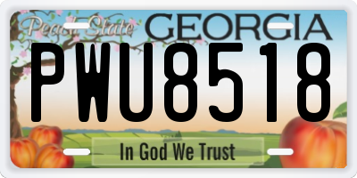 GA license plate PWU8518