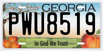 GA license plate PWU8519