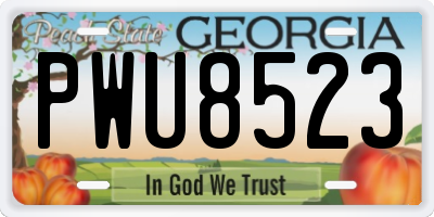 GA license plate PWU8523