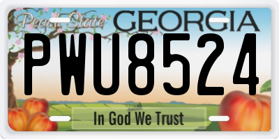 GA license plate PWU8524