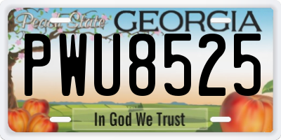 GA license plate PWU8525
