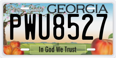 GA license plate PWU8527