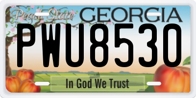 GA license plate PWU8530