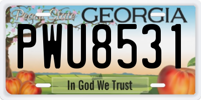 GA license plate PWU8531