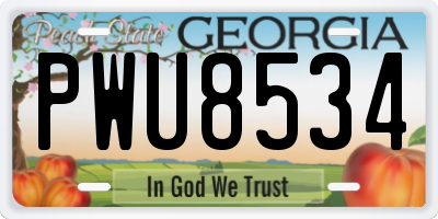 GA license plate PWU8534