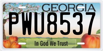 GA license plate PWU8537