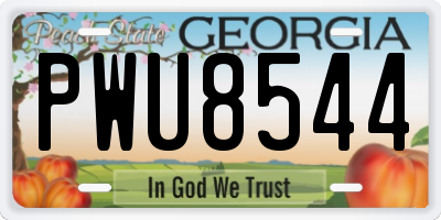 GA license plate PWU8544