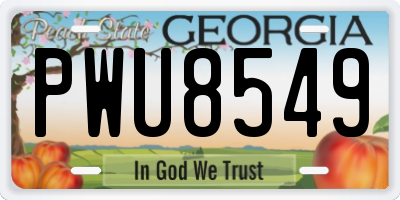 GA license plate PWU8549