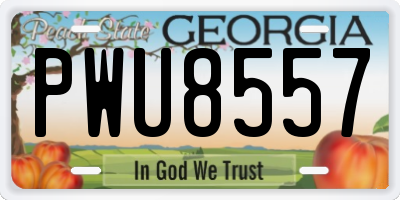 GA license plate PWU8557