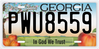 GA license plate PWU8559