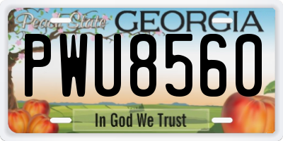 GA license plate PWU8560
