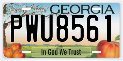 GA license plate PWU8561