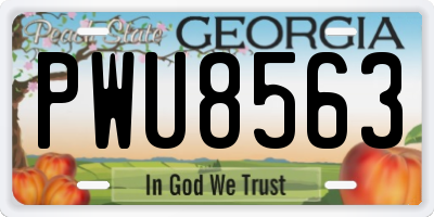 GA license plate PWU8563